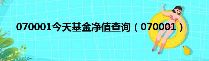 070001今天基金净值查询（070001）