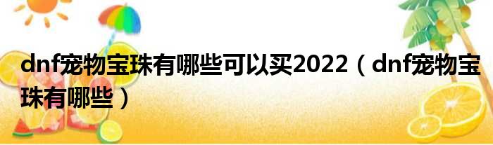 dnf宠物宝珠有哪些可以买2022（dnf宠物宝珠有哪些）