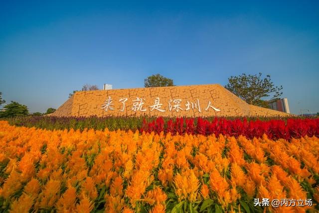 市场营销专业是经济类还是管理类专业（市场营销属于经济类还是管理类）(图4)