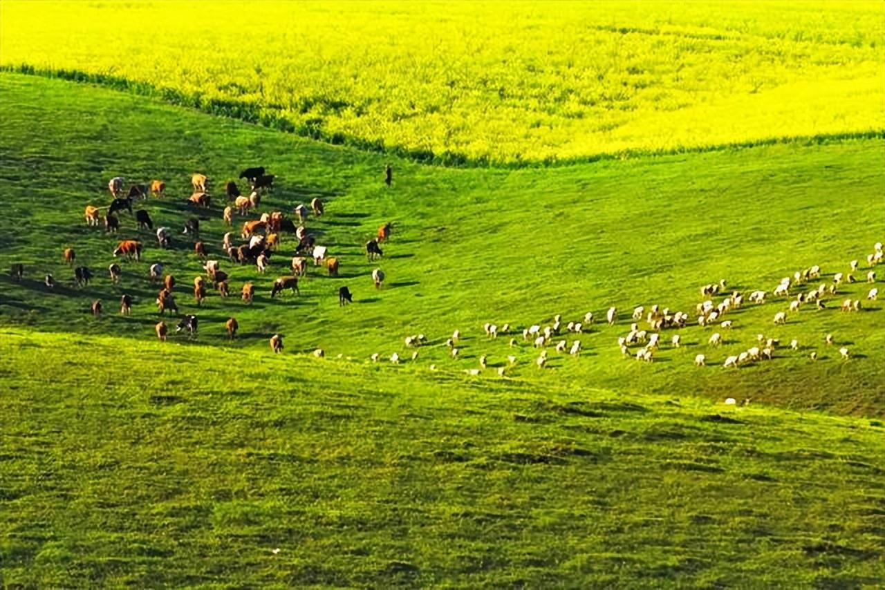 7月份适合去哪里旅游十大7月国内旅游最佳去处（六七月份适合去哪里旅游）(图9)