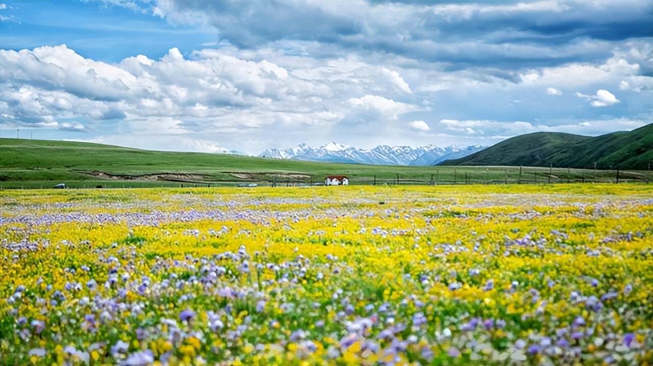 7月份适合去哪里旅游十大7月国内旅游最佳去处（六七月份适合去哪里旅游）(图13)