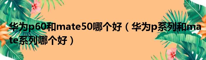 华为p60和mate50哪个好（华为p系列和mate系列哪个好）