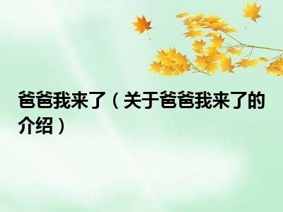 爸爸我来了（关于爸爸我来了的介绍）