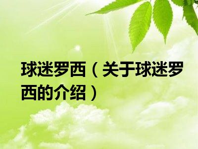 球迷罗西（关于球迷罗西的介绍）