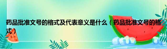 药品批准文号的格式及代表意义是什么（药品批准文号的格式）