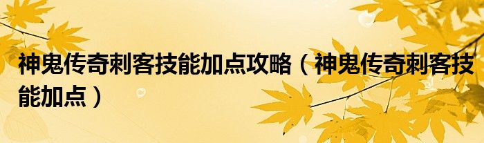  神鬼传奇刺客技能加点攻略（神鬼传奇刺客技能加点）