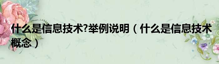 什么是信息技术 举例说明（什么是信息技术概念）