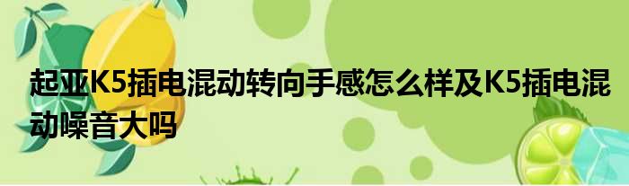 起亚K5插电混动转向手感怎么样及K5插电混动噪音大吗