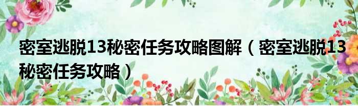 密室逃脱13秘密任务攻略图解（密室逃脱13秘密任务攻略）