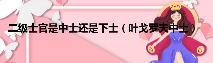 二级士官是中士还是下士（叶戈罗夫中士）