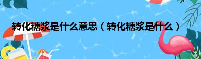 转化糖浆是什么意思（转化糖浆是什么）