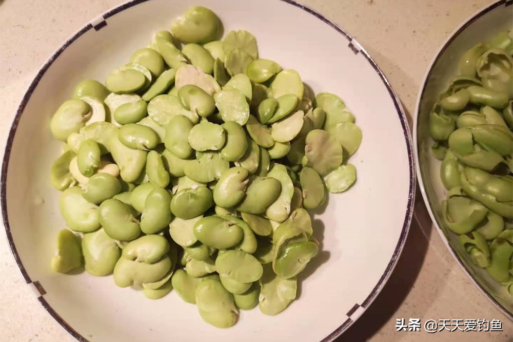 天热钓鲫鱼用什么饵料最好（野钓大鲫鱼饵用什么）(图5)