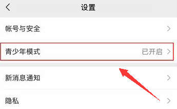 手机微信怎样开启青少年模式（青少年模式怎么开启）(图2)