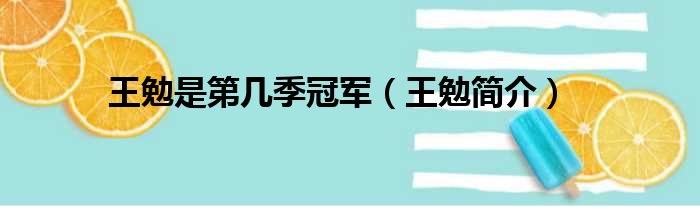 王勉是第几季冠军（王勉简介）