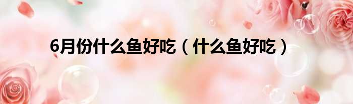 6月份什么鱼好吃（什么鱼好吃）