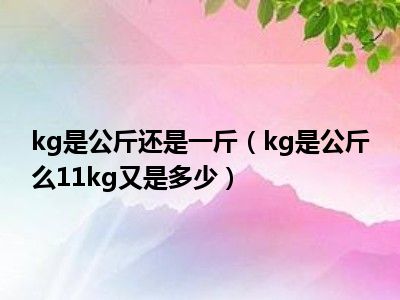 kg是公斤还是一斤（kg是公斤么11kg又是多少）