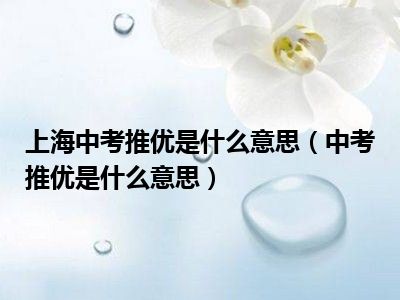 上海中考推优是什么意思（中考推优是什么意思）