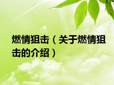 燃情狙击（关于燃情狙击的介绍）