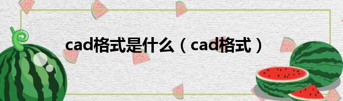 cad格式是什么（cad格式）