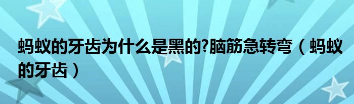  蚂蚁的牙齿为什么是黑的 脑筋急转弯（蚂蚁的牙齿）