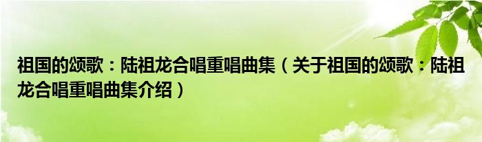  祖国的颂歌：陆祖龙合唱重唱曲集（关于祖国的颂歌：陆祖龙合唱重唱曲集介绍）