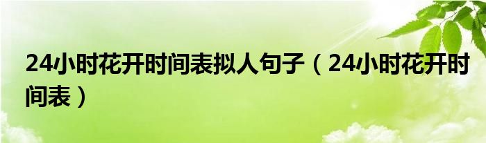  24小时花开时间表拟人句子（24小时花开时间表）