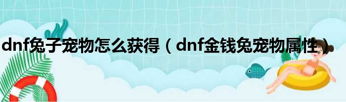 dnf兔子宠物怎么获得（dnf金钱兔宠物属性）