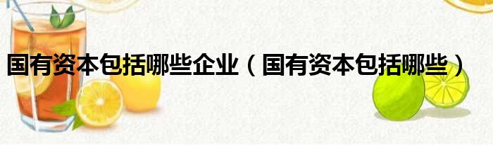 国有资本包括哪些企业（国有资本包括哪些）