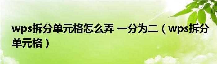 wps拆分单元格怎么弄 一分为二（wps拆分单元格）