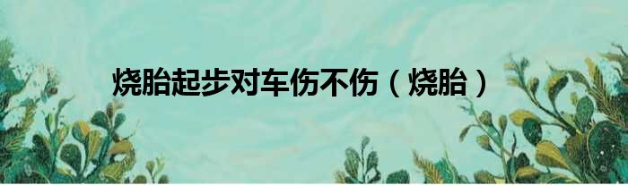 烧胎起步对车伤不伤（烧胎）