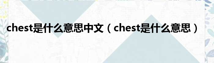 chest是什么意思中文（chest是什么意思）
