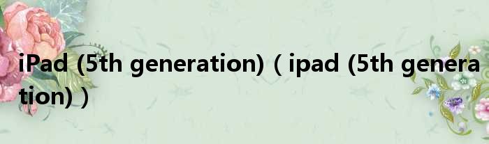 iPad (5th generation)（ipad (5th generation)）