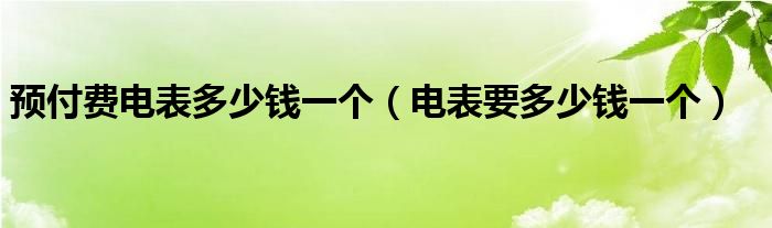 预付费电表多少钱一个（电表要多少钱一个）