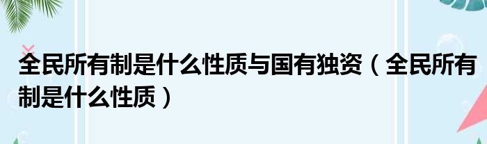 全民所有制是什么性质与国有独资（全民所有制是什么性质）