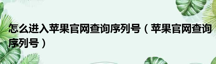 怎么进入苹果官网查询序列号（苹果官网查询序列号）