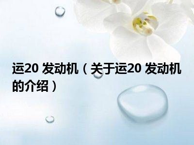 运20 发动机（关于运20 发动机的介绍）