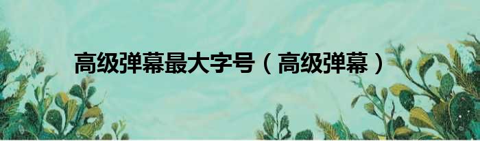 高级弹幕最大字号（高级弹幕）