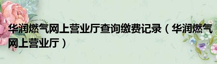 华润燃气网上营业厅查询缴费记录（华润燃气网上营业厅）