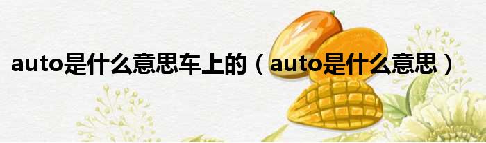 auto是什么意思车上的（auto是什么意思）