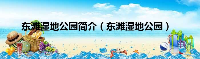 东滩湿地公园简介（东滩湿地公园）