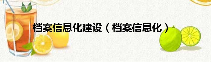 档案信息化建设（档案信息化）