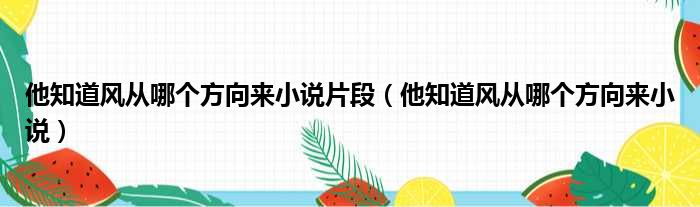 他知道风从哪个方向来小说片段（他知道风从哪个方向来小说）