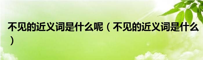 不见的近义词是什么呢（不见的近义词是什么）