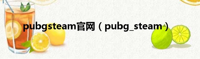 pubgsteam官网（pubg steam）