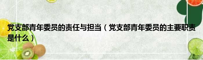 党支部青年委员的责任与担当（党支部青年委员的主要职责是什么）