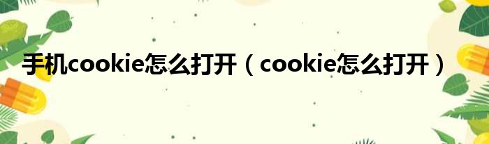 手机cookie怎么打开（cookie怎么打开）