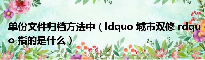 单份文件归档方法中（ldquo 城市双修 rdquo 指的是什么）