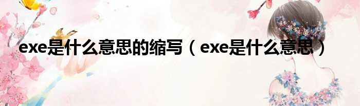exe是什么意思的缩写（exe是什么意思）