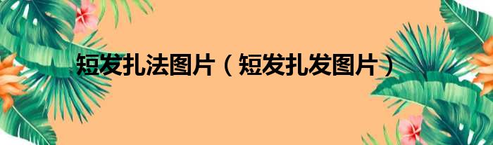 短发扎法图片（短发扎发图片）