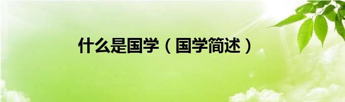 什么是国学（国学简述）